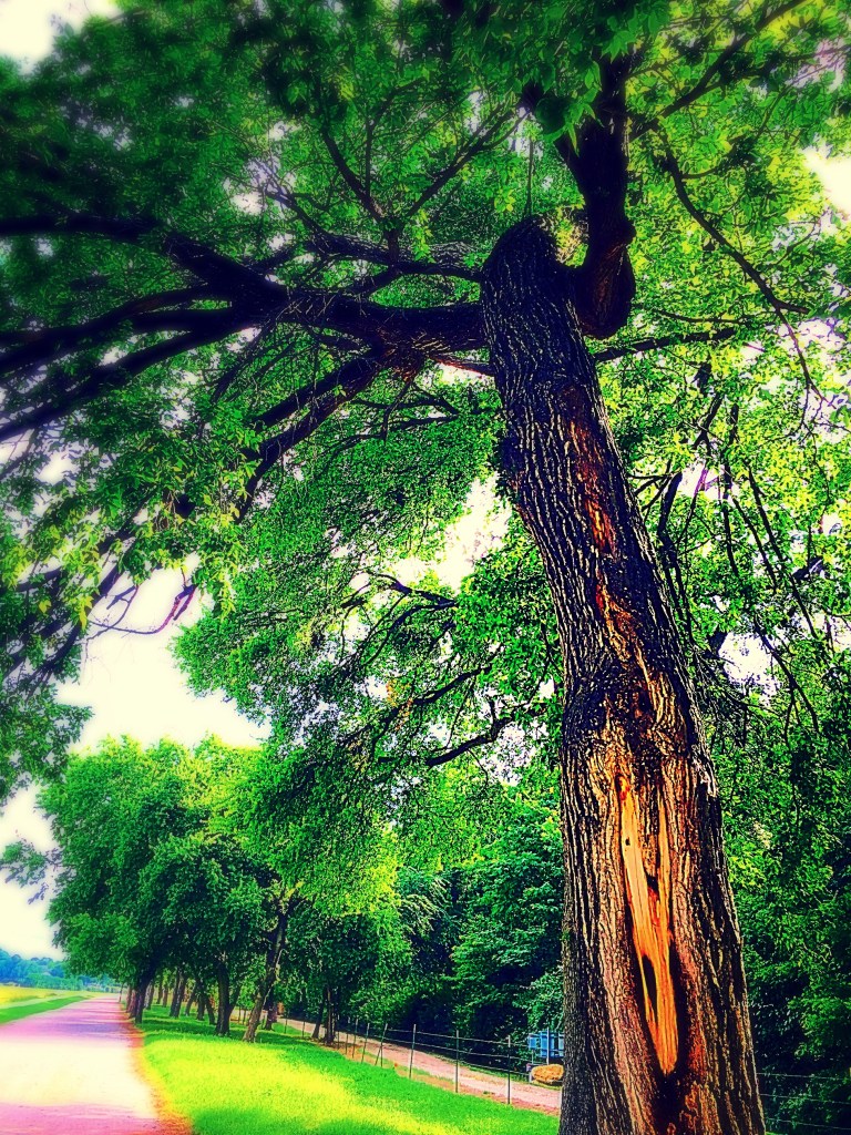 8CA4EB07-78D7-45D8-B9E2-6130546BED62